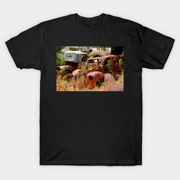 End of the Road T-Shirt by jwwallace